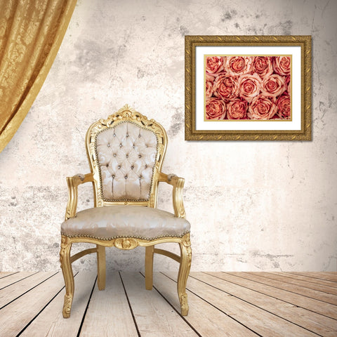 Background of roses Gold Ornate Wood Framed Art Print with Double Matting by Frank, Assaf