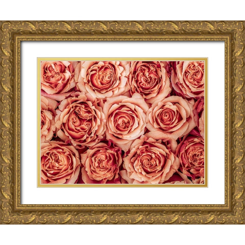 Background of roses Gold Ornate Wood Framed Art Print with Double Matting by Frank, Assaf