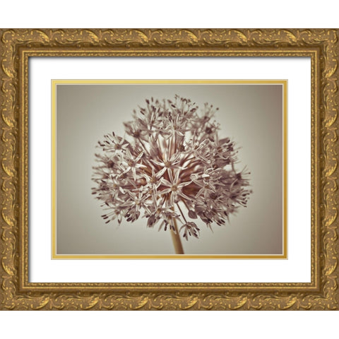 Allium flower Gold Ornate Wood Framed Art Print with Double Matting by Frank, Assaf