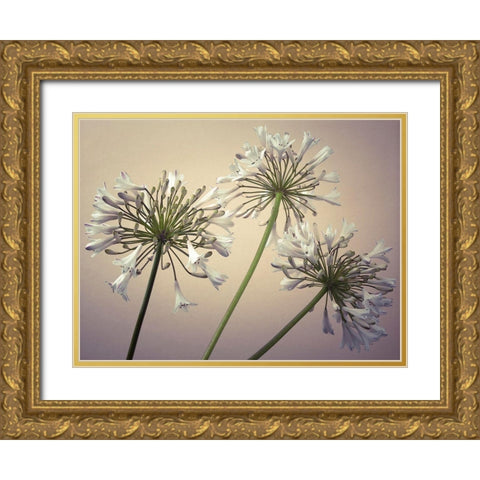 African Lilies Gold Ornate Wood Framed Art Print with Double Matting by Frank, Assaf