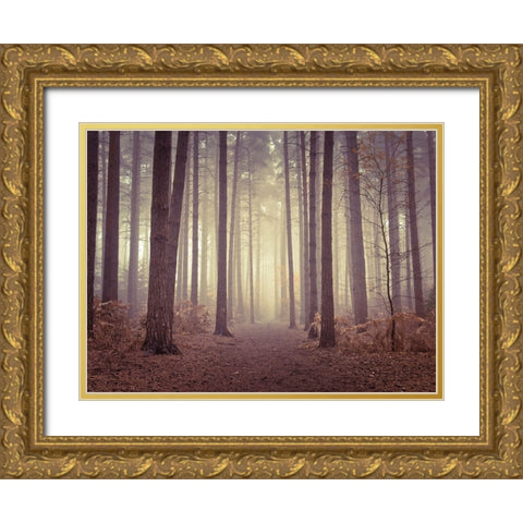 Misty trees Gold Ornate Wood Framed Art Print with Double Matting by Frank, Assaf
