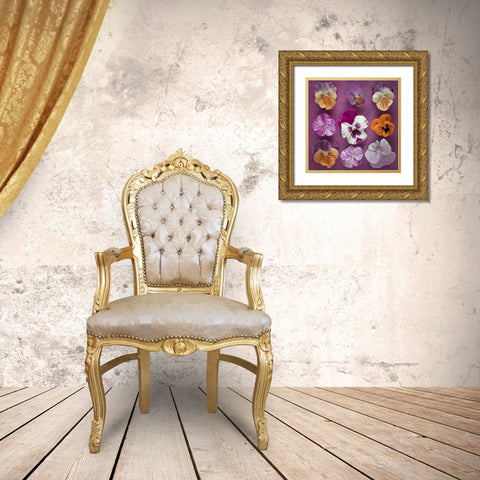 Nine Pansy flowers Gold Ornate Wood Framed Art Print with Double Matting by Frank, Assaf