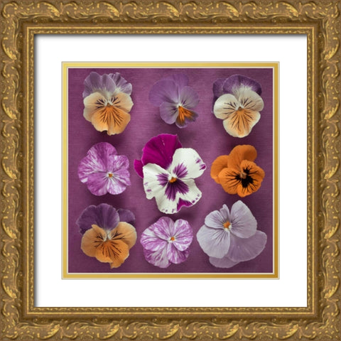 Nine Pansy flowers Gold Ornate Wood Framed Art Print with Double Matting by Frank, Assaf