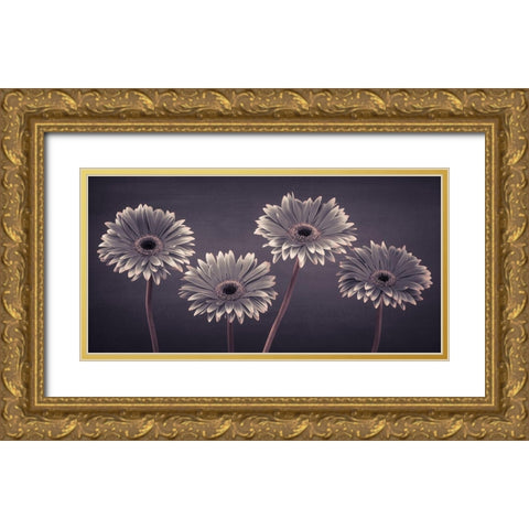 Four Gerberas, FTBR-1883 Gold Ornate Wood Framed Art Print with Double Matting by Frank, Assaf