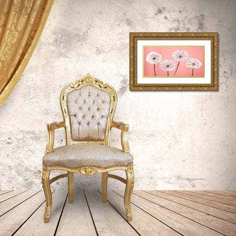 Four Gerberas, FTBR-1884 Gold Ornate Wood Framed Art Print with Double Matting by Frank, Assaf