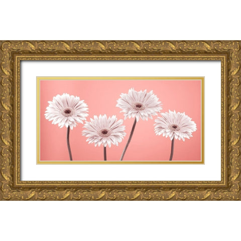 Four Gerberas, FTBR-1884 Gold Ornate Wood Framed Art Print with Double Matting by Frank, Assaf