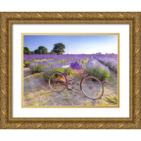 Bicycle with flowers in a Lavender field Gold Ornate Wood Framed Art Print with Double Matting by Frank, Assaf
