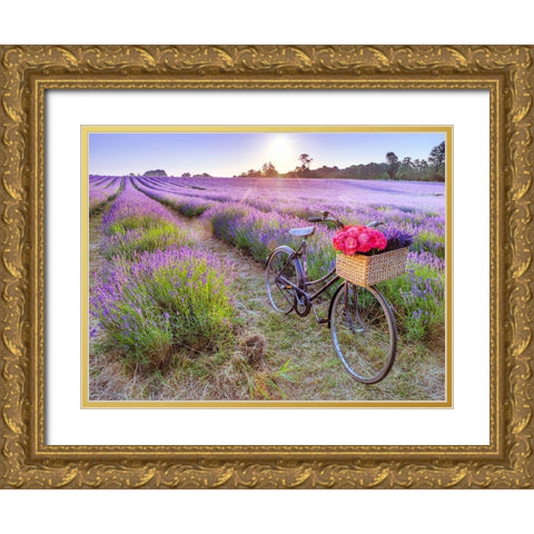 Bicycle with flowers in a Lavender field Gold Ornate Wood Framed Art Print with Double Matting by Frank, Assaf