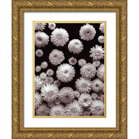 Dahlia Flowers Gold Ornate Wood Framed Art Print with Double Matting by Frank, Assaf