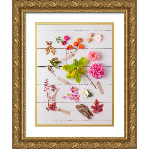 Eclectic plants on wooden background Gold Ornate Wood Framed Art Print with Double Matting by Frank, Assaf