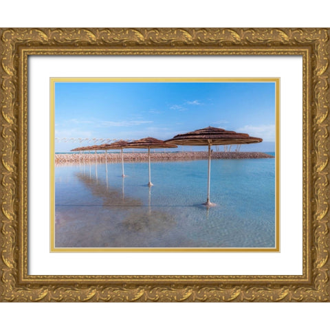 Parasol on Dead sea, Israel Gold Ornate Wood Framed Art Print with Double Matting by Frank, Assaf