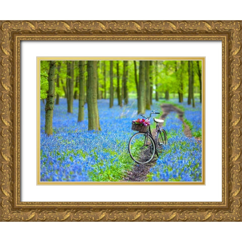 Bicycle in spring forest Gold Ornate Wood Framed Art Print with Double Matting by Frank, Assaf