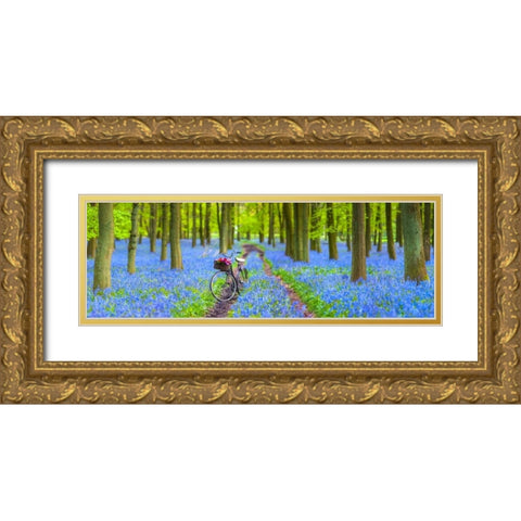 Bicycle in spring forest Gold Ornate Wood Framed Art Print with Double Matting by Frank, Assaf