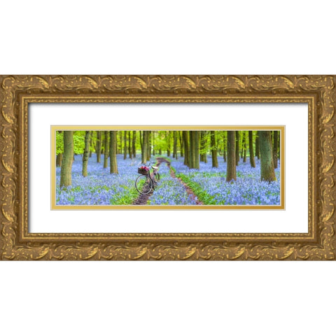 Bicycle in spring forest Gold Ornate Wood Framed Art Print with Double Matting by Frank, Assaf
