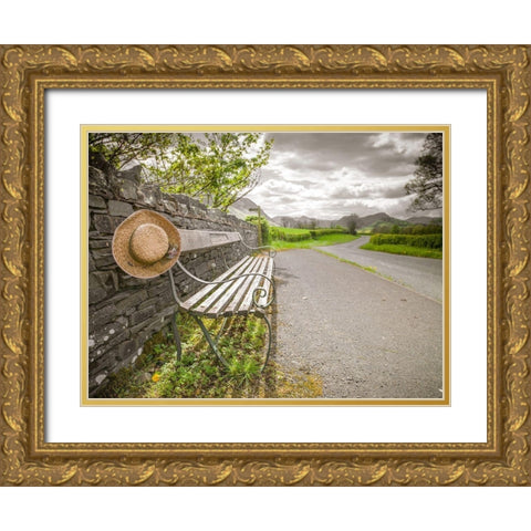 Bench with a hat on countryside road Gold Ornate Wood Framed Art Print with Double Matting by Frank, Assaf