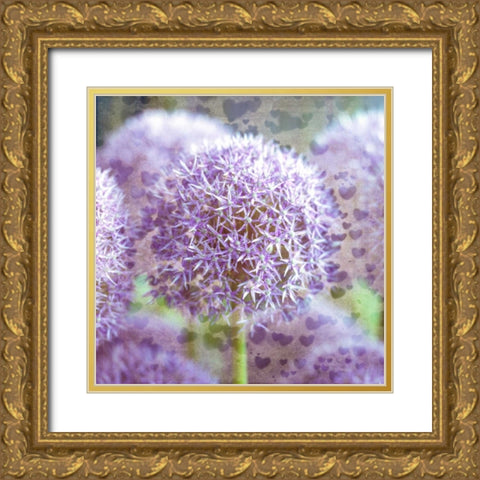 Colorful Anemone flowers in garden Gold Ornate Wood Framed Art Print with Double Matting by Frank, Assaf