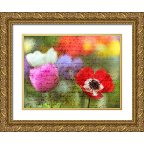 Colorful Anemone flowers in garden Gold Ornate Wood Framed Art Print with Double Matting by Frank, Assaf