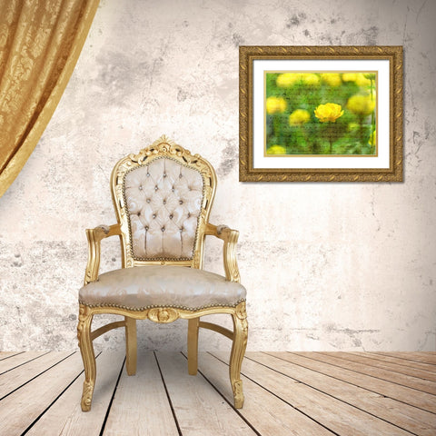 Beautiful Yellow colored Anemone flowers in garden Gold Ornate Wood Framed Art Print with Double Matting by Frank, Assaf