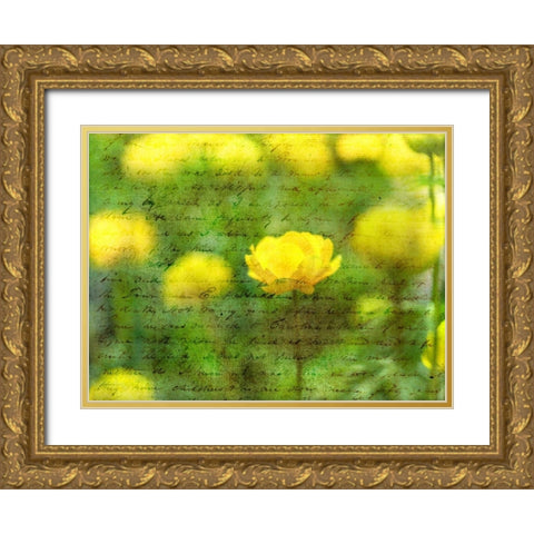 Beautiful Yellow colored Anemone flowers in garden Gold Ornate Wood Framed Art Print with Double Matting by Frank, Assaf
