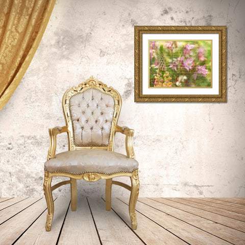 Colorful Aquilegia flowers on plants in garden Gold Ornate Wood Framed Art Print with Double Matting by Frank, Assaf