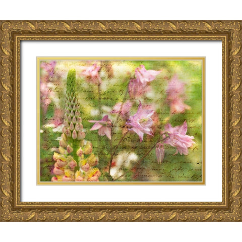 Colorful Aquilegia flowers on plants in garden Gold Ornate Wood Framed Art Print with Double Matting by Frank, Assaf