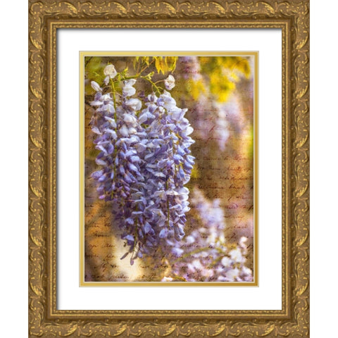 Beautiful Allium flowers Gold Ornate Wood Framed Art Print with Double Matting by Frank, Assaf