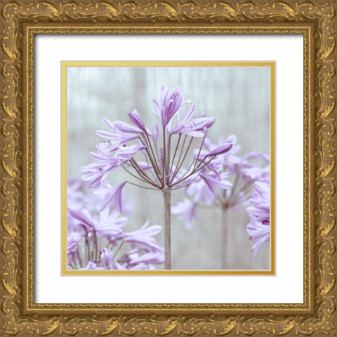 African Lilies Gold Ornate Wood Framed Art Print with Double Matting by Frank, Assaf