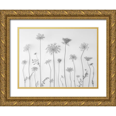Cow parsley Gold Ornate Wood Framed Art Print with Double Matting by Frank, Assaf
