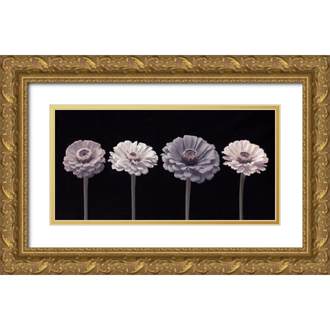 Four Zinnia flowers in a row Gold Ornate Wood Framed Art Print with Double Matting by Frank, Assaf