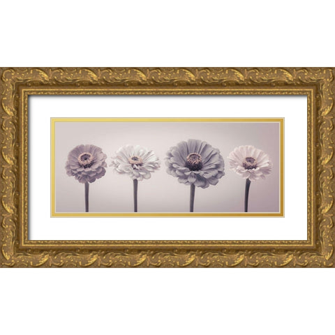 Four Zinnias in a row Gold Ornate Wood Framed Art Print with Double Matting by Frank, Assaf