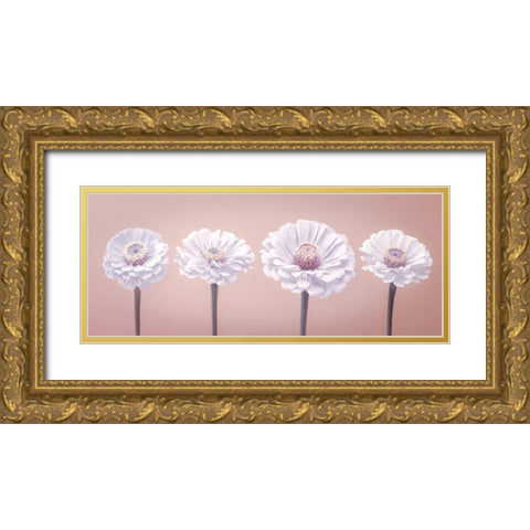 Four Zinnias in a row, FTBR-1900 Gold Ornate Wood Framed Art Print with Double Matting by Frank, Assaf