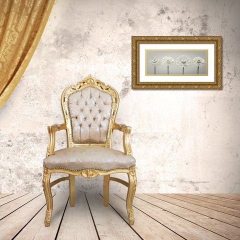 Four Zinnia flowers in a row Gold Ornate Wood Framed Art Print with Double Matting by Frank, Assaf