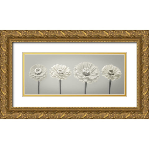 Four Zinnia flowers in a row Gold Ornate Wood Framed Art Print with Double Matting by Frank, Assaf