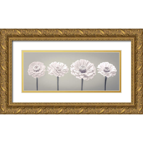 Four Zinnia flowers in a row Gold Ornate Wood Framed Art Print with Double Matting by Frank, Assaf