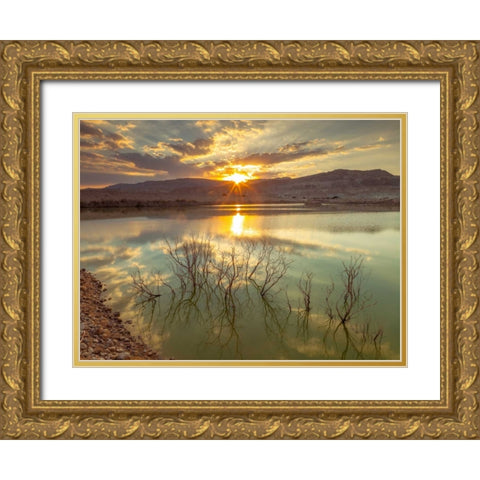 Dead sea, Israel Gold Ornate Wood Framed Art Print with Double Matting by Frank, Assaf