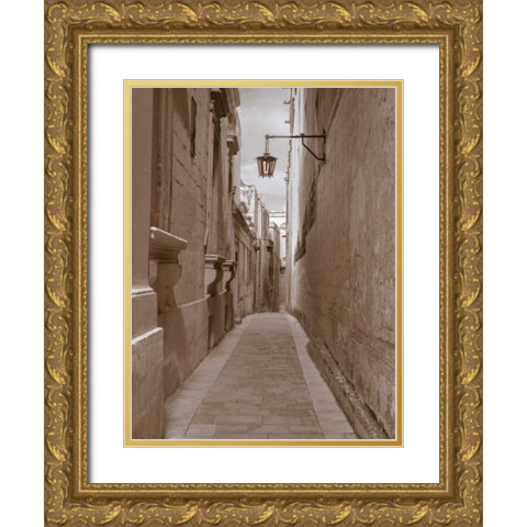 Narrow street in town of Mdina, Malta Gold Ornate Wood Framed Art Print with Double Matting by Frank, Assaf