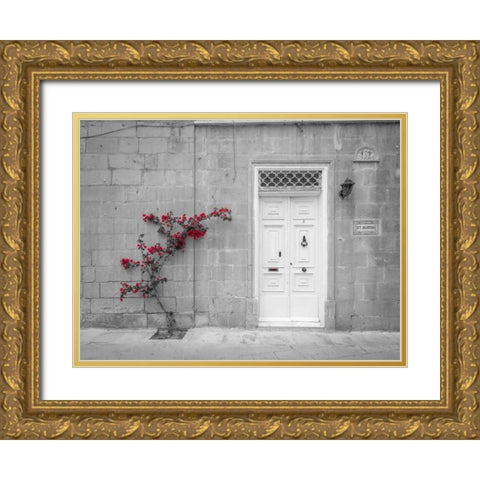 Old wooden door on house in Mdina, Malta Gold Ornate Wood Framed Art Print with Double Matting by Frank, Assaf