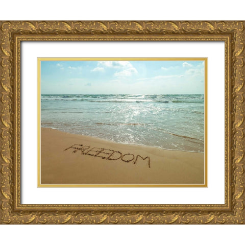 Word Freedom written in sand on the beach Gold Ornate Wood Framed Art Print with Double Matting by Frank, Assaf