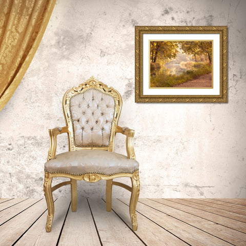 Basingstoke canal in countryside, UK, FTBR-1829 Gold Ornate Wood Framed Art Print with Double Matting by Frank, Assaf