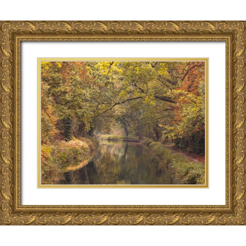 Basingstoke canal in countryside, UK, FTBR-1830 Gold Ornate Wood Framed Art Print with Double Matting by Frank, Assaf