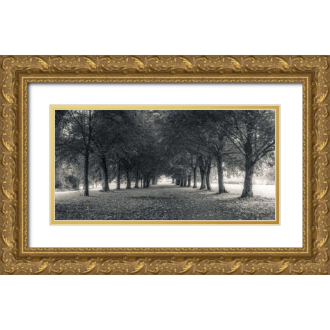 Pathway through trees in forest Gold Ornate Wood Framed Art Print with Double Matting by Frank, Assaf