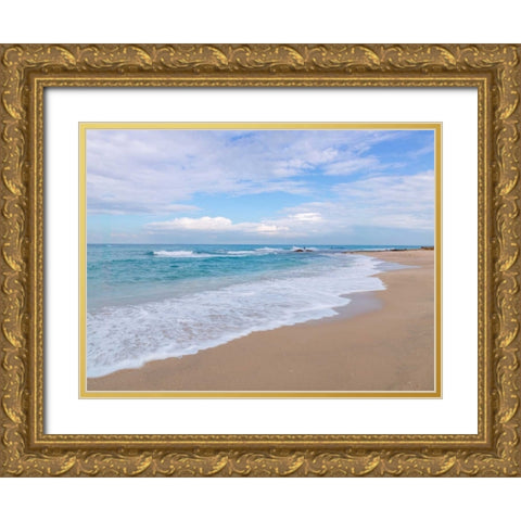 Beautiful tropical beach Gold Ornate Wood Framed Art Print with Double Matting by Frank, Assaf