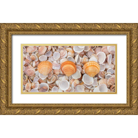 Sea shells on the beach Gold Ornate Wood Framed Art Print with Double Matting by Frank, Assaf