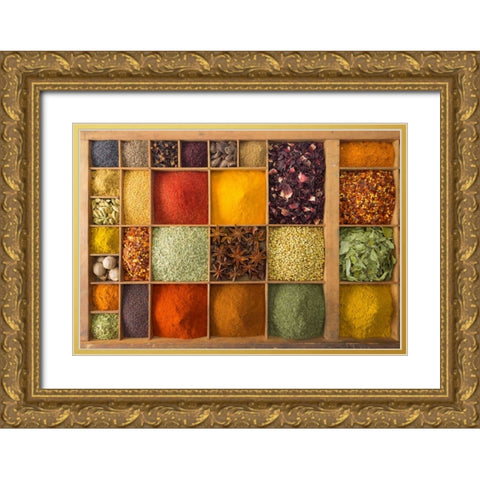 Canal through forest in countryside Gold Ornate Wood Framed Art Print with Double Matting by Frank, Assaf