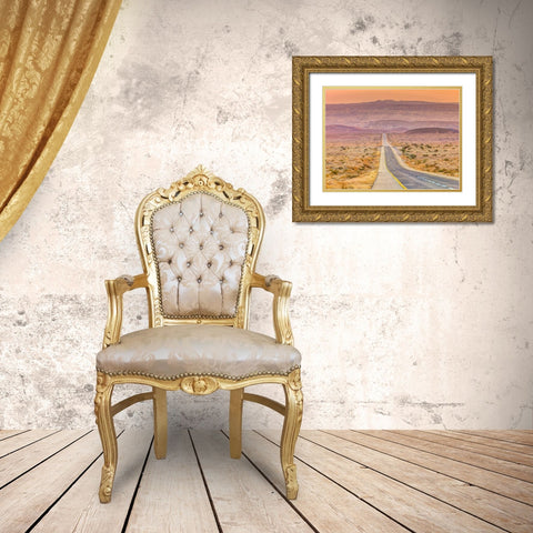 Highway through desert Gold Ornate Wood Framed Art Print with Double Matting by Frank, Assaf