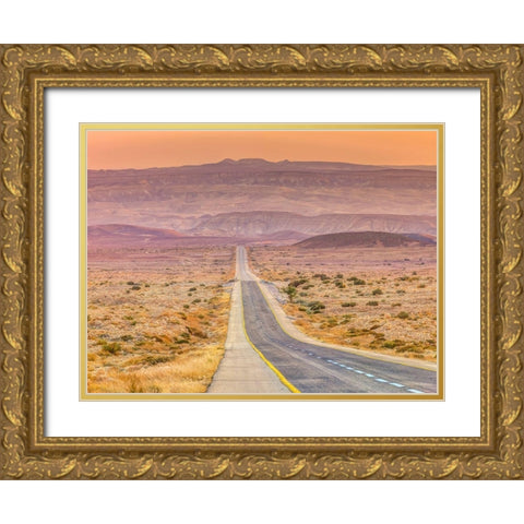 Highway through desert Gold Ornate Wood Framed Art Print with Double Matting by Frank, Assaf