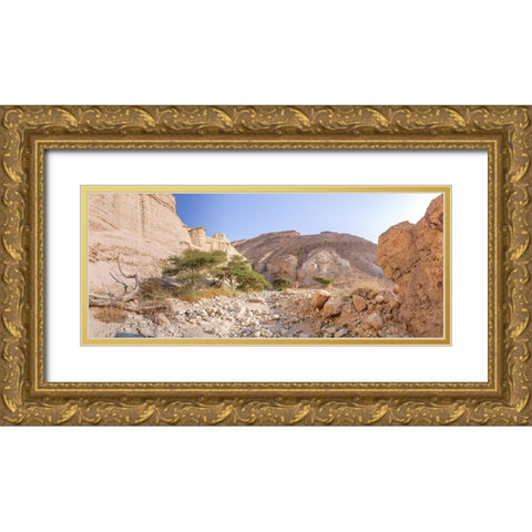 Negev Desert-Israel Gold Ornate Wood Framed Art Print with Double Matting by Frank, Assaf