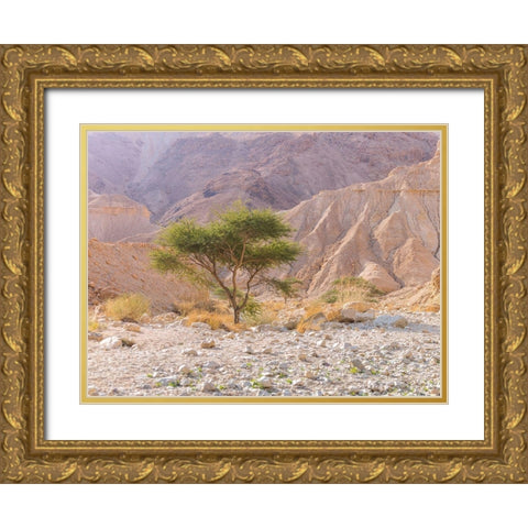 Negev Desert-Israel Gold Ornate Wood Framed Art Print with Double Matting by Frank, Assaf