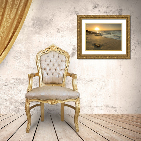 Golden sunset on beach Gold Ornate Wood Framed Art Print with Double Matting by Frank, Assaf