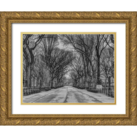Pathway through Central park, New York Gold Ornate Wood Framed Art Print with Double Matting by Frank, Assaf